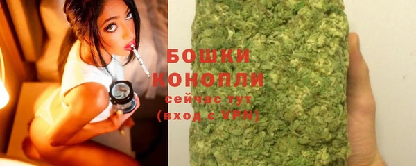 сатива Абаза