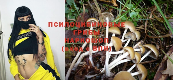 амфетамин Алексин
