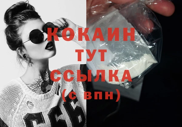 сатива Абаза